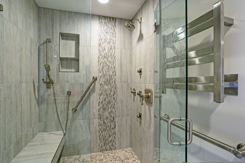 Contemporary Shower Interior